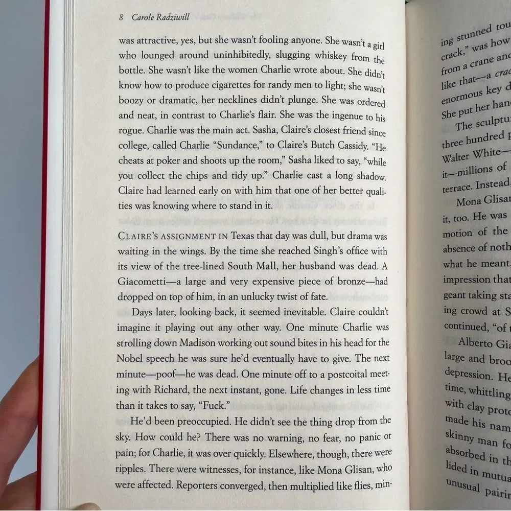 BOOK, The Widow’s Guide to Sex & Dating, a novel, 302 pages, Fiction, NOS - Picture 7 of 16